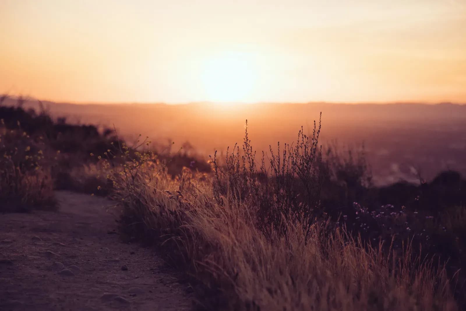 Nature sunset sunrise